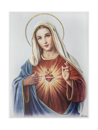 Mary Sacred Heart Religious Icon